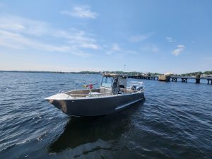 ISLANDER gallery image 4
